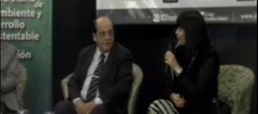 6/6/2013: Jornada por el Día Mundial del Medio Ambiente
