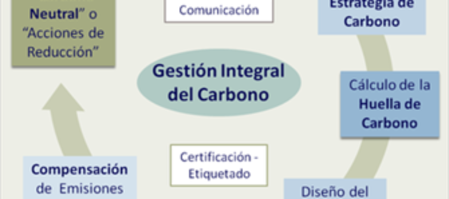 Día Mundial del Medio Ambiente