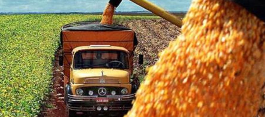 NUEVA COBERTURA DE MAPFRE: TRANSPORTE SEGURO DE GRANOS