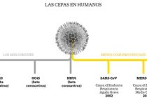 CORONAVIRUS sorprendió a gran parte del SEGURO: sin comunicación o se dio por sabido. Las lagunas lógicas. Respuestas halladas, las que faltan.