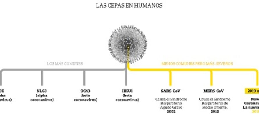 CORONAVIRUS sorprendió a gran parte del SEGURO: sin comunicación o se dio por sabido. Las lagunas lógicas. Respuestas halladas, las que faltan.