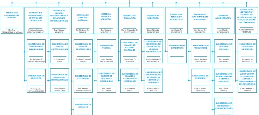 SSN ORGANIGRAMA 2020. Nuevos, revividos, castigados, impresentables, inexpertos, idóneos, corruptos: aseguradores dicen «volvió el peaje»