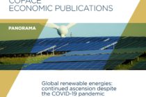 Panorama Coface: las energías renovables avanzan en el mundo a pesar del covid-19.