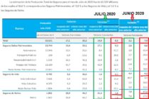 Julio 2020. Cayó 8,5 la Producción de Seguros pero…mejor que Junio. Mal pero no Tan Mal. ¿Rebote?