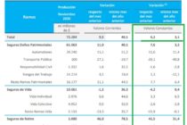 PRODUCCIÓN DE SEGUROS NOVIEMBRE 2020: Creció 6.2% con respecto a Octubre y 3,1% con respecto a Noviembre 2020.