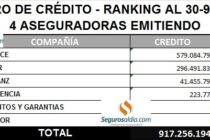 SEGUROS PATRIMONIALES, 17 RAMAS 1 x 1 con sus líderes y quiénes venden y cuánto. Anticipo de lo que viene.