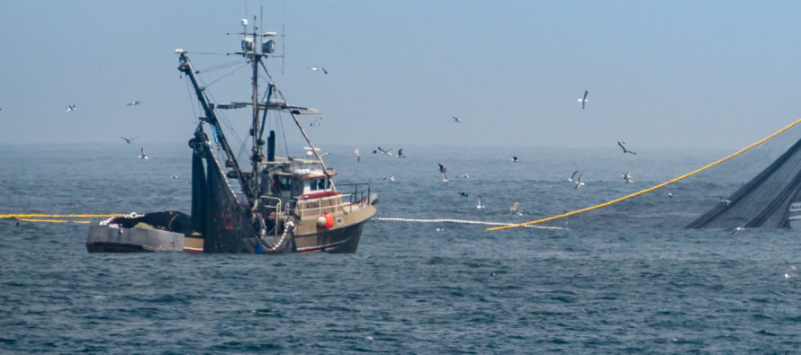 SRT presentó el Manual de Buenas Prácticas para la Actividad de Pesca de Altura