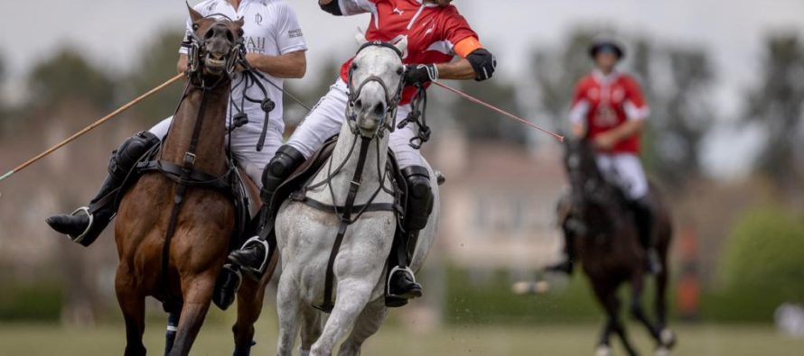 Libra Seguros Sponsor oficial de “La Irenita Polo”