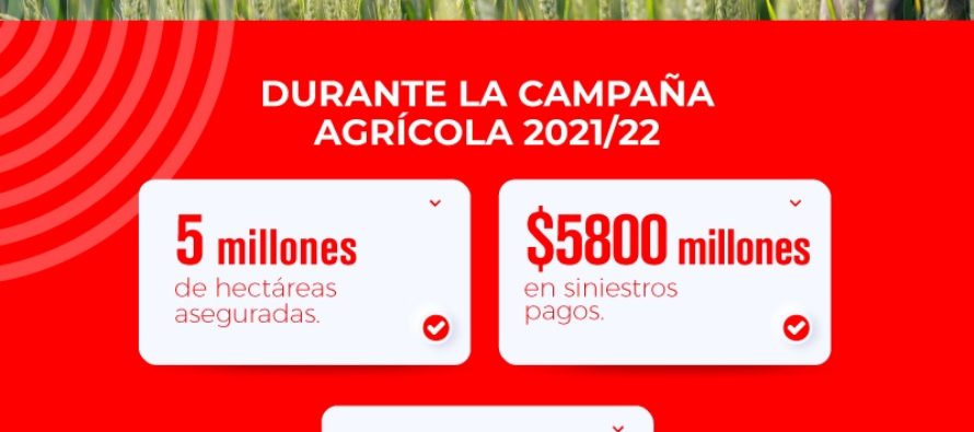 Primeros en agro: por sexto año consecutivo, La Segunda lidera el ranking de las aseguradoras