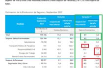 PRODUCCIÓN/VENTAS DE SEGUROS. Sube y baja, cíclica e inestable. Septiembre mejor con algunos números positivos. Cías Y Canales tienen la respuesta.